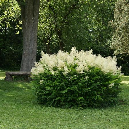 Landgasthof Em Lade Dahlem  Eksteriør bilde